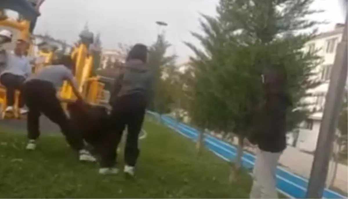 Öğrenci Parkta Darbedildi