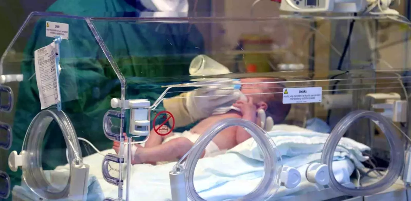 2024 Doğum İstatistikleri Açıklandı