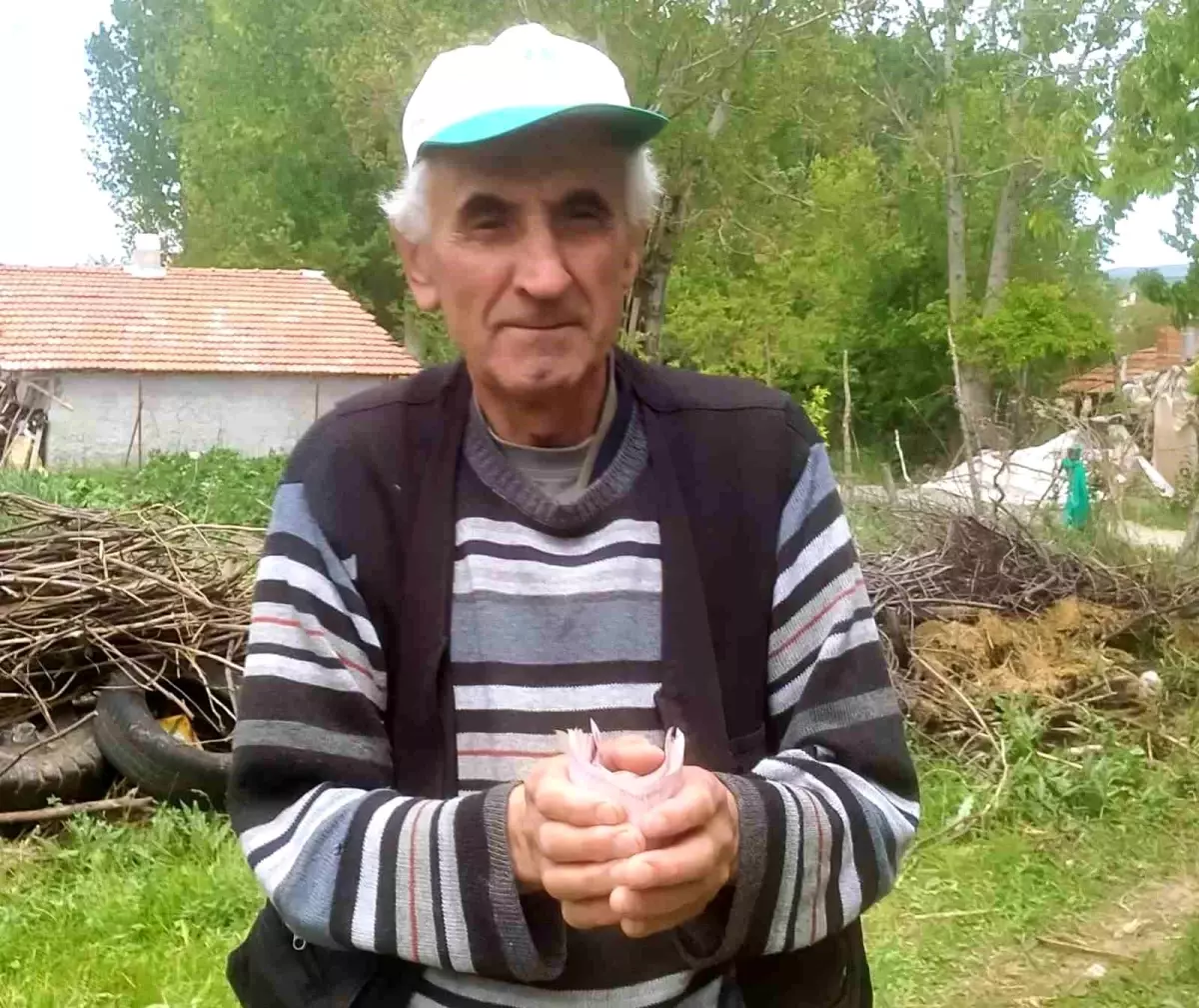 Emekli İşçiden Duyarlı Davranış: Bulduğu Parayı Jandarmaya Teslim Etti