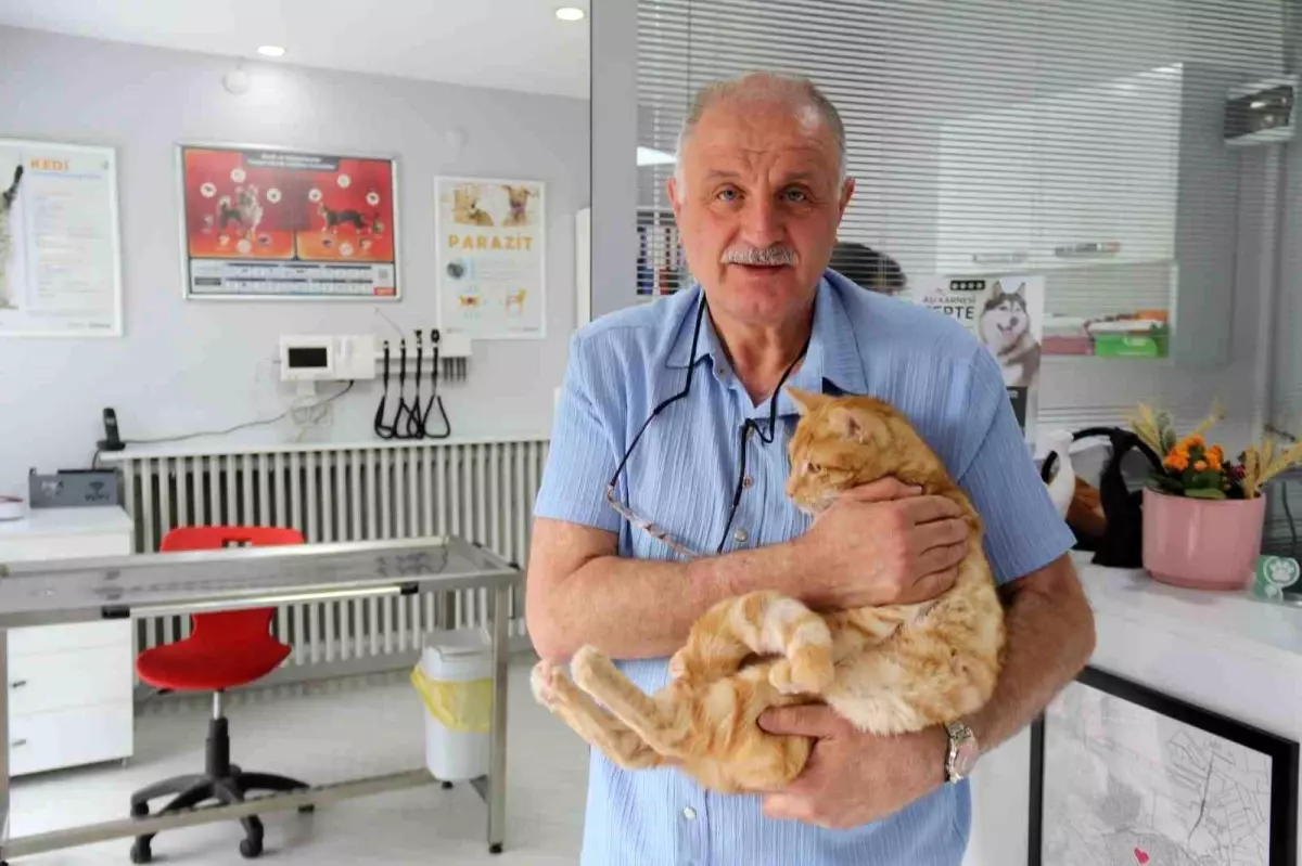 Kediyi Acil Veterinere Götüren Adamın Cezası İptal Edildi