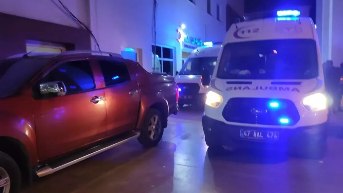 Nusaybin\'de Tüfek Kazası: 14 Yaşındaki Çocuk Ağır Yaralı