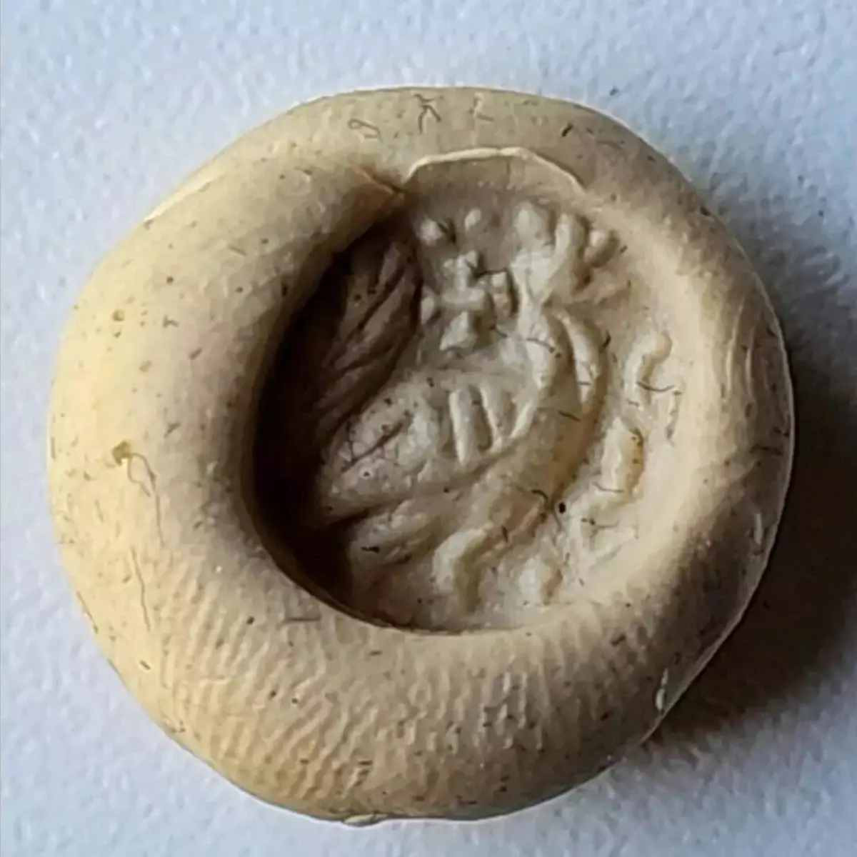 Kardeşlerden Tarihi Bağış