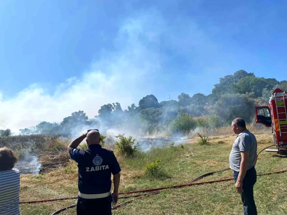 Bodrum\'da Zirai Alanda Yangın Çıktı