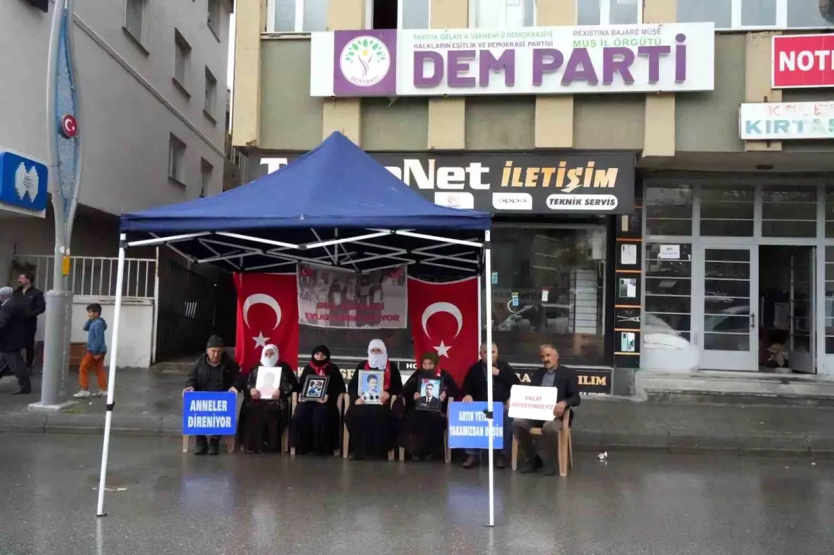 Muş\'ta Evlat Nöbeti: 196. Haftada Umutlar Yeniden Canlandı
