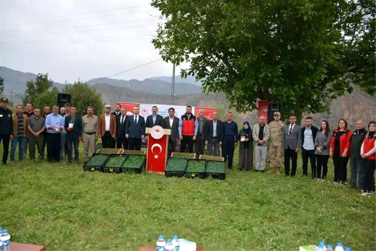 Hakkari\'de Sebze Fideleri Dağıtımı