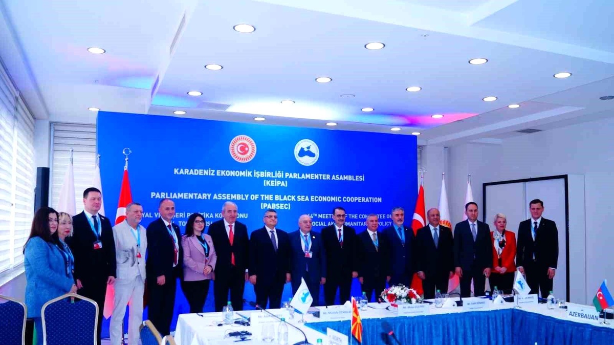 Sinop\'ta KEİPA Toplantısı: Engelli Bireyler İçin Eğitim ve İstihdam
