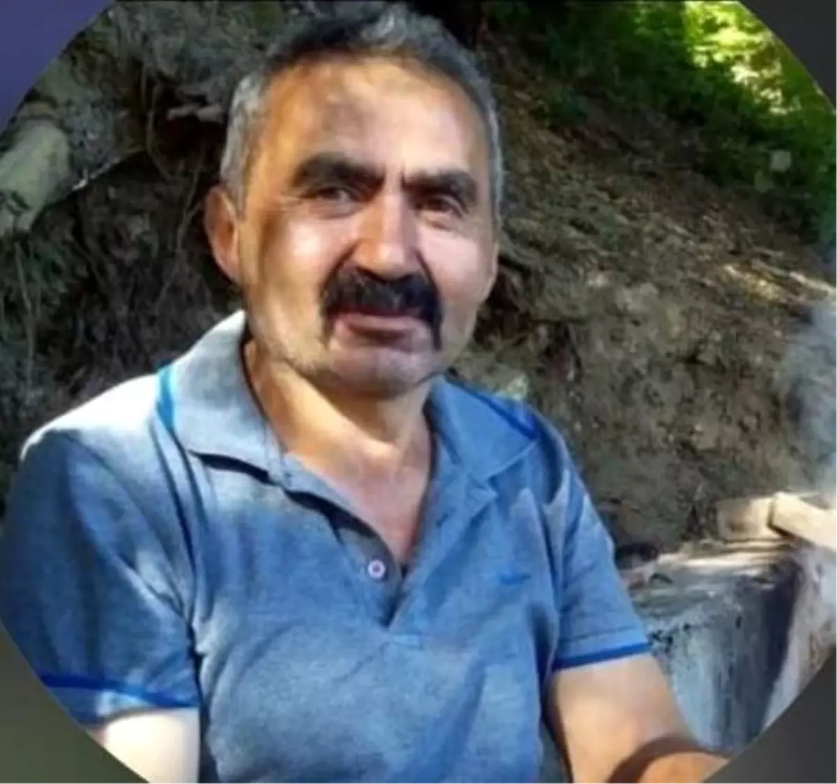 Bolu\'da Ağaç Devrilmesi: İşçi Hayatını Kaybetti