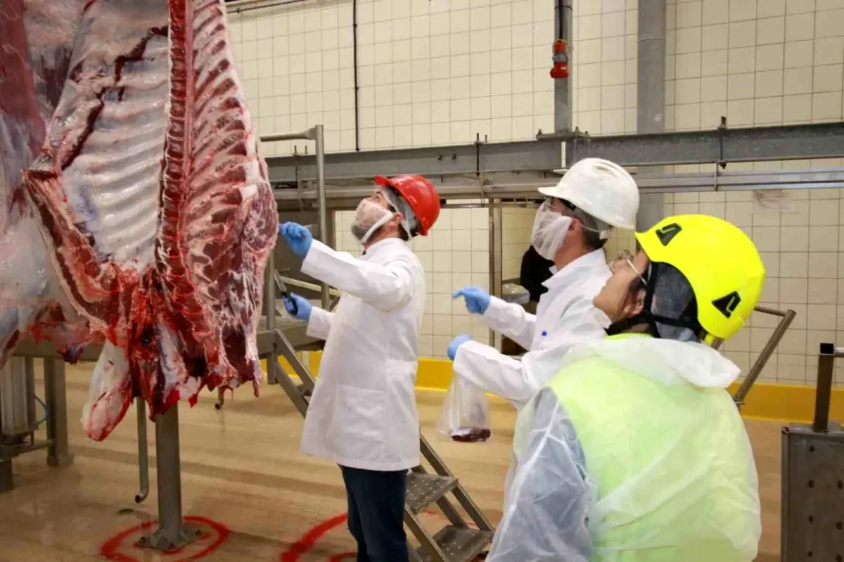 Kocaeli\'de Kurban Kesim Başvuruları İnternet Üzerinden Alınacak