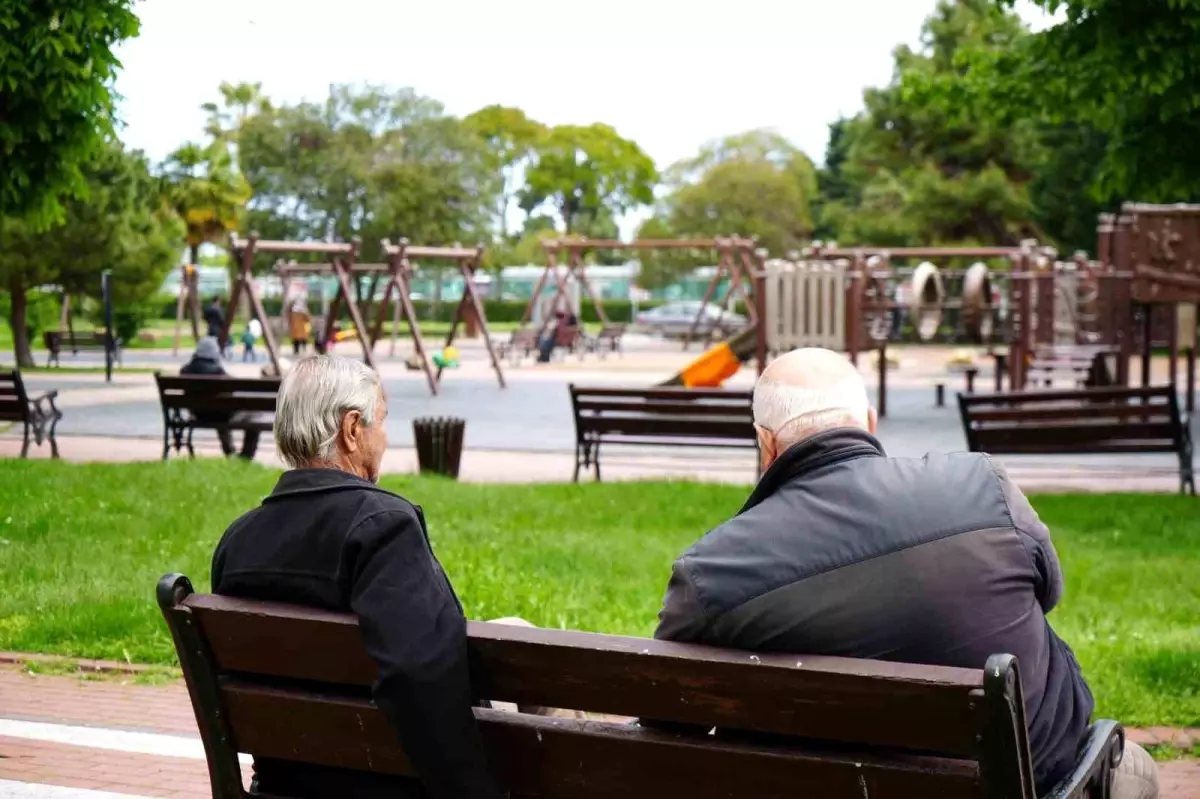 Samsun\'da Hanehalkı Büyüklüğü 2,99\'a Düştü