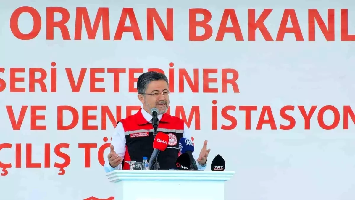 Kurban Bayramı\'nda Yeterli Kurbanlık Hayvan