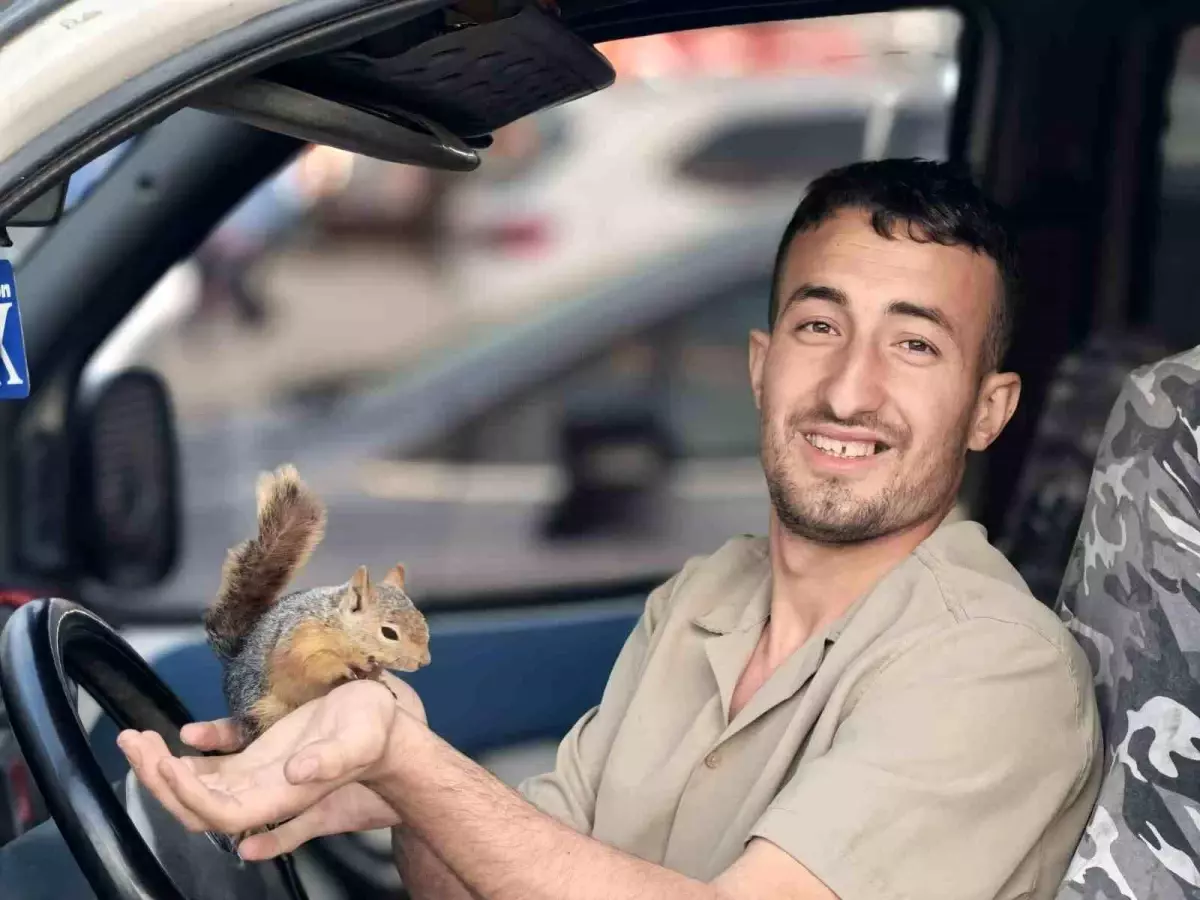 Sincapla Sıcak Bağ: Osman ve Kalender