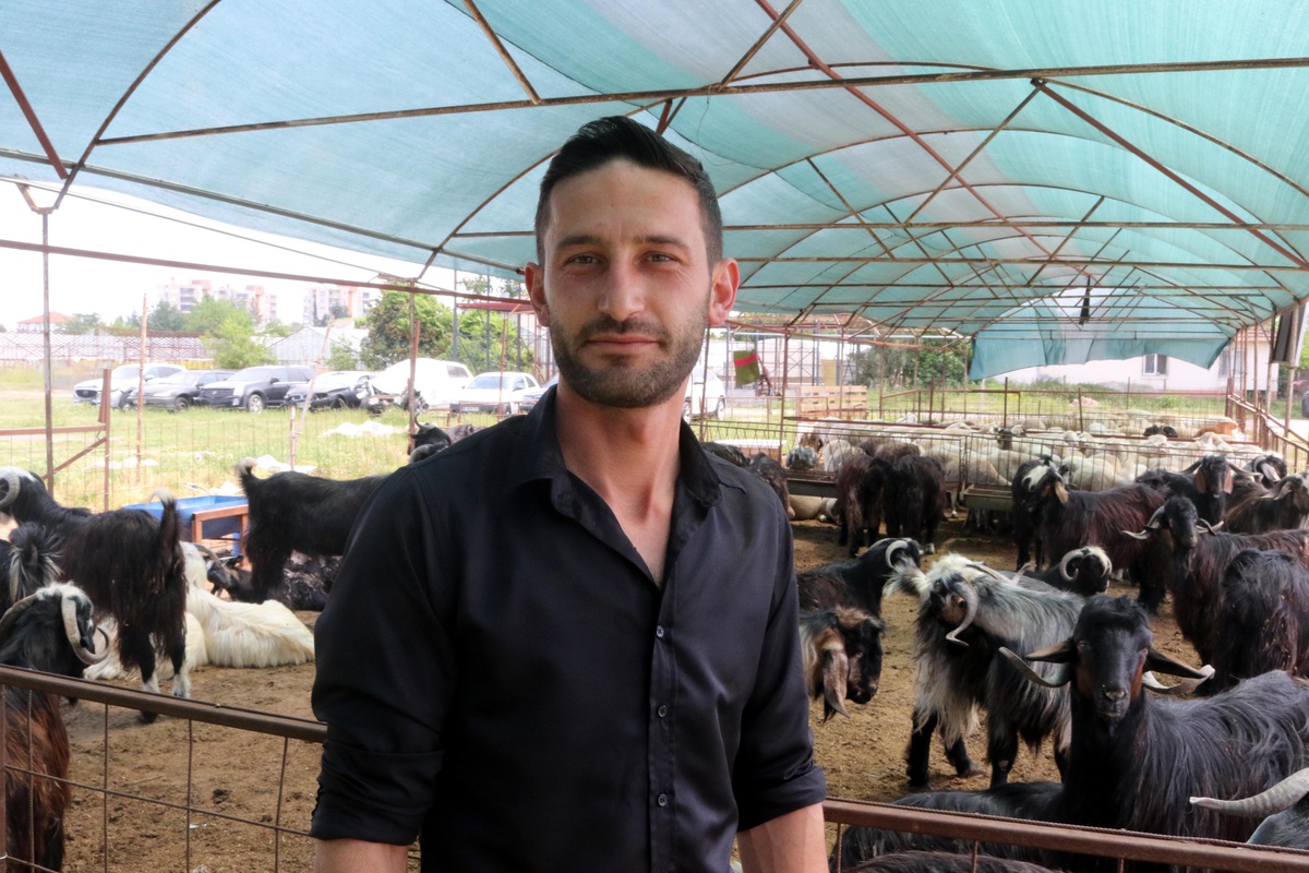 Kurban Pazarında Fiyatlar Sabit Kalıyor