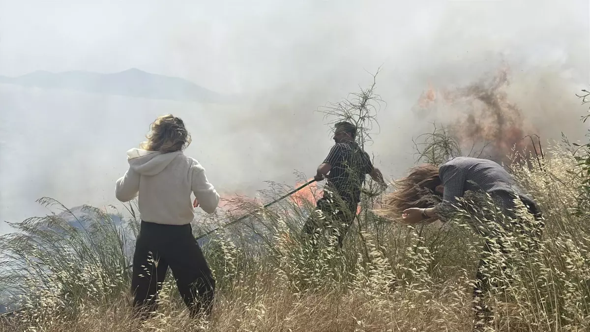 Bodrum\'da 3 Yangın Kontrol Altına Alındı