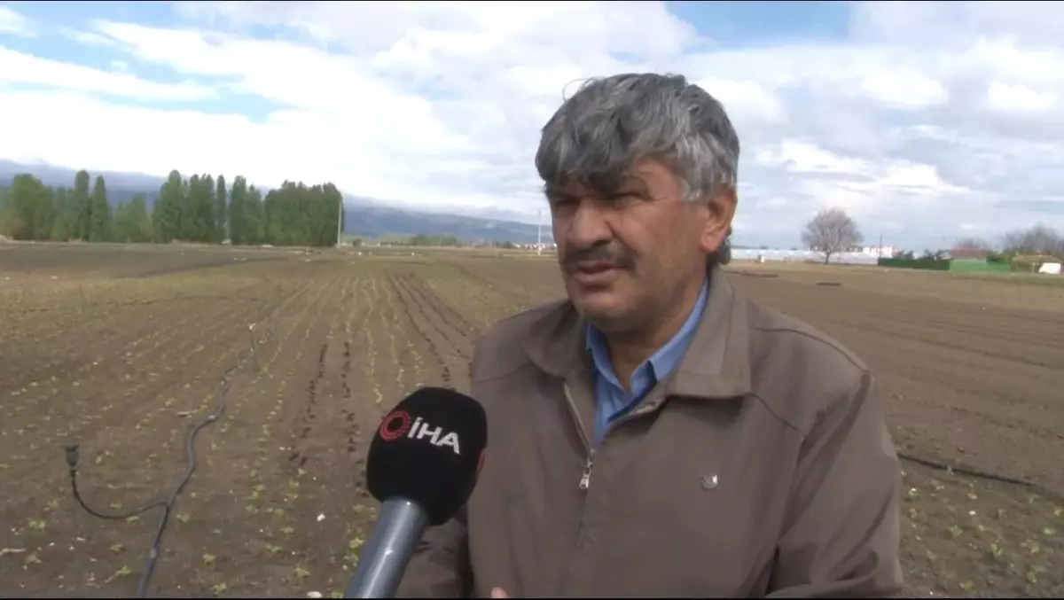 Hava Koşulları Meyve Sebze Fiyatlarını Etkiliyor