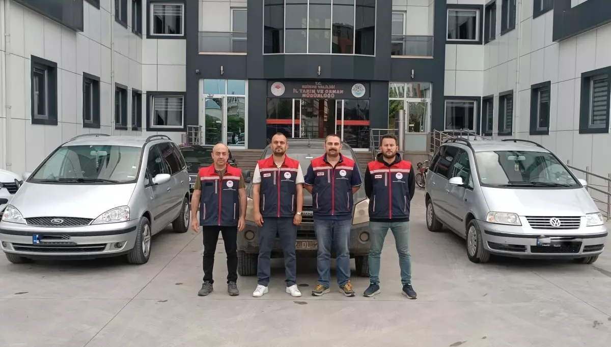 Edirne\'de Yasa Dışı Sülük Operasyonu
