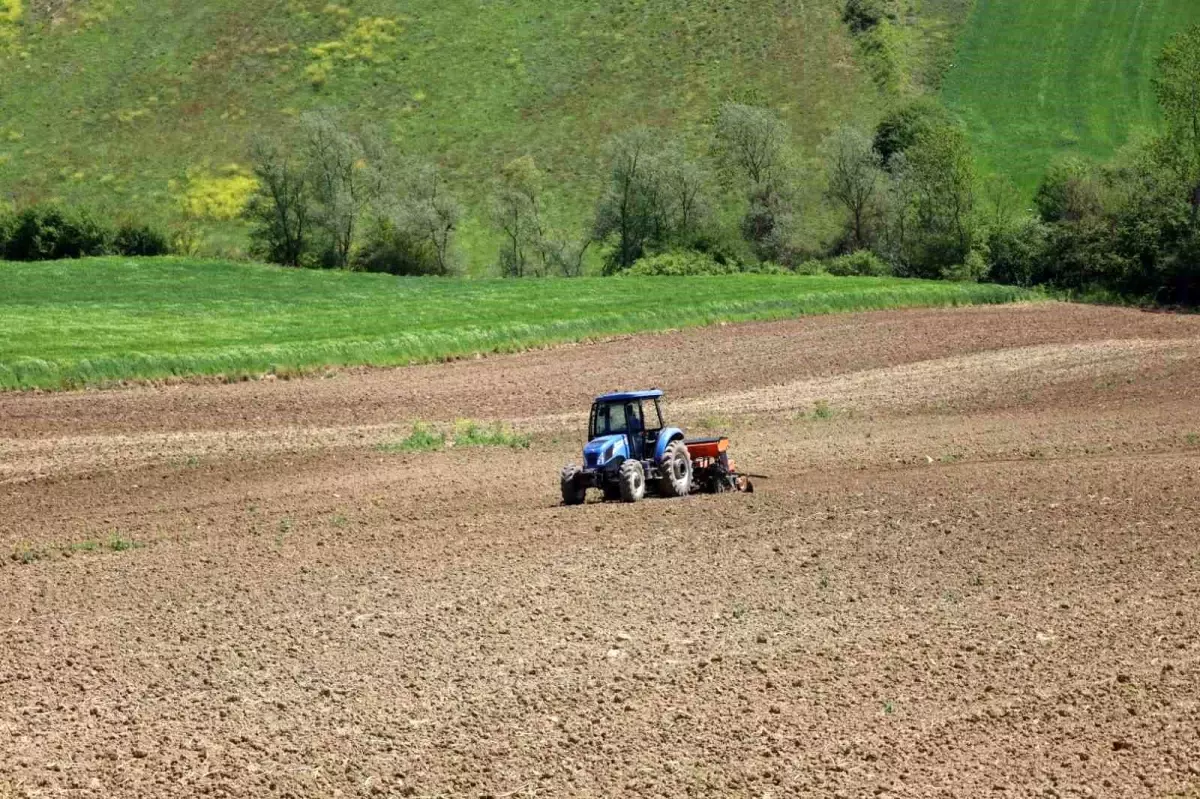 Kocaeli\'de Çiftçilere Yüzde 50 Hibeli Mısır Tohumu ve Gübre Desteği