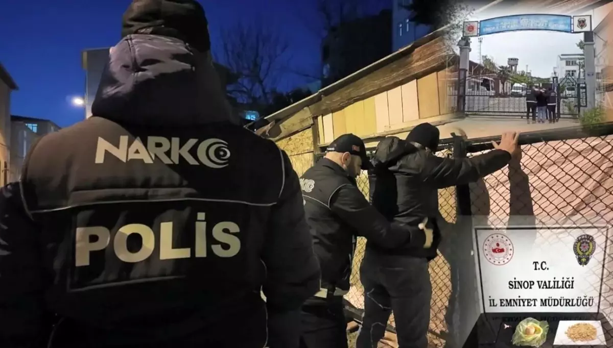 Sinop\'ta Uyuşturucu ve Sahte Dömiz Operasyonu