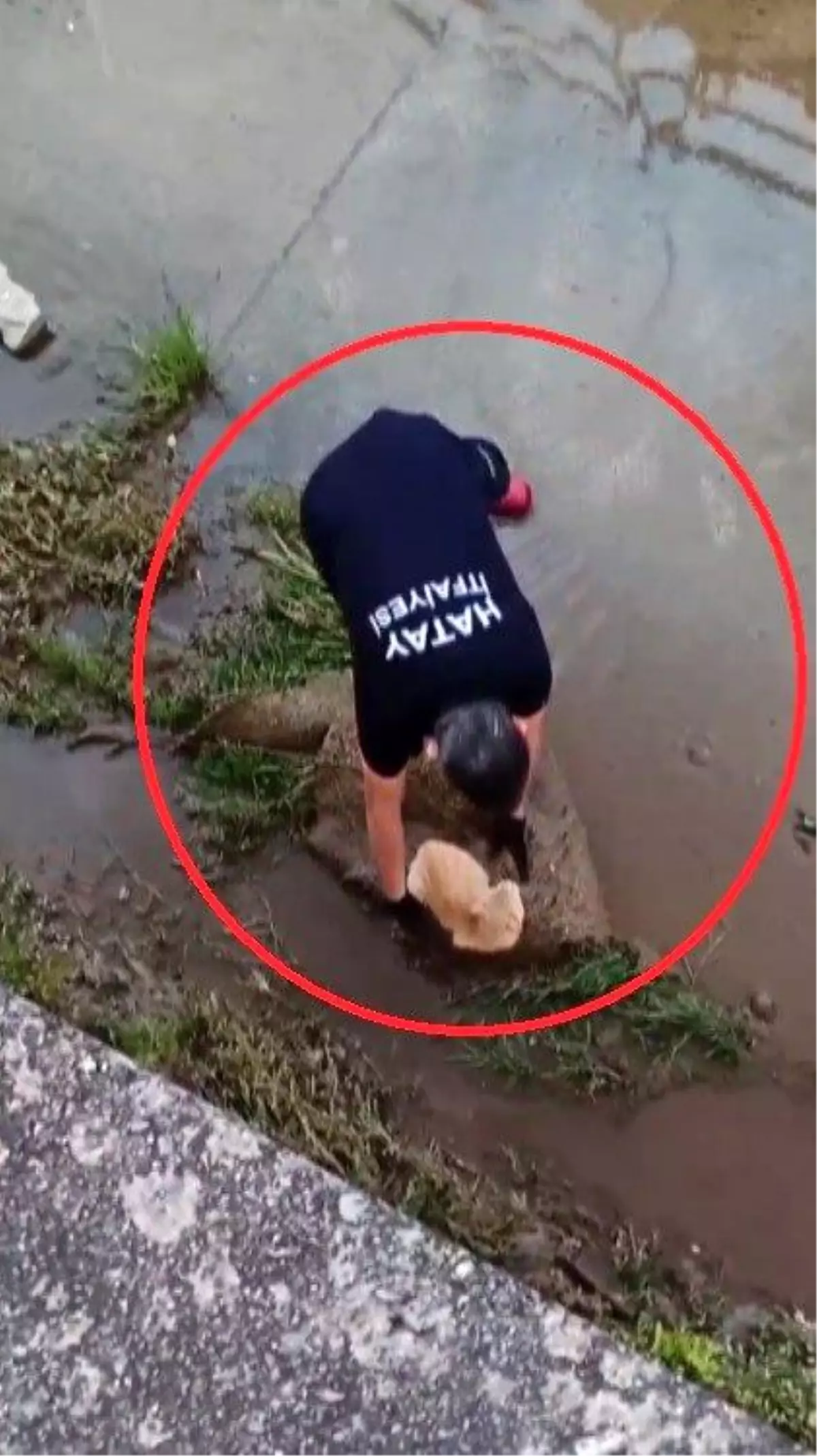 Hatay\'da Su Kanalında Mahsur Kalan Kedi Kurtarıldı