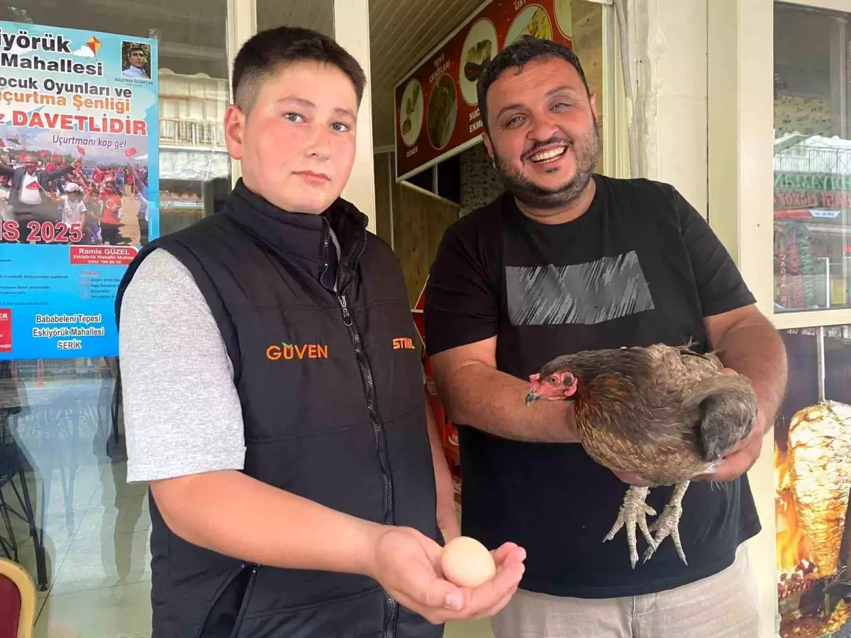 Sokak Tavuğu Dönerciye Girdi