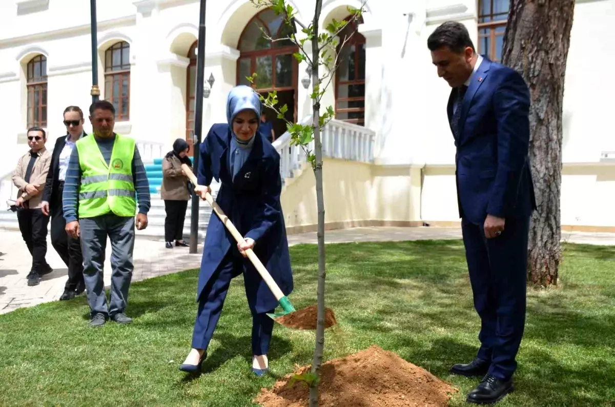 Bakan Göktaş, Bilecik\'te Çınar Fidanı Dikti