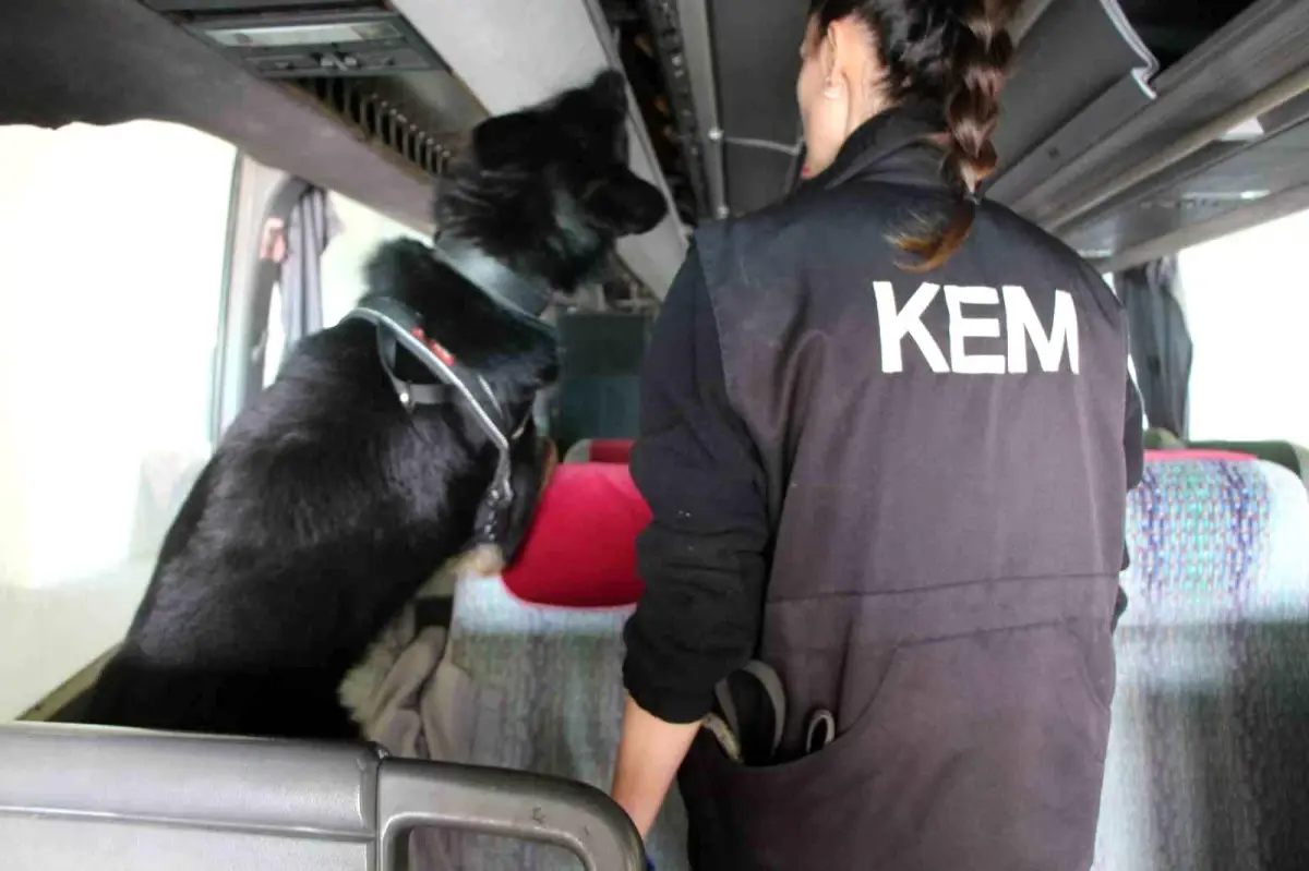 Edirne\'de Ecstasy Operasyonu