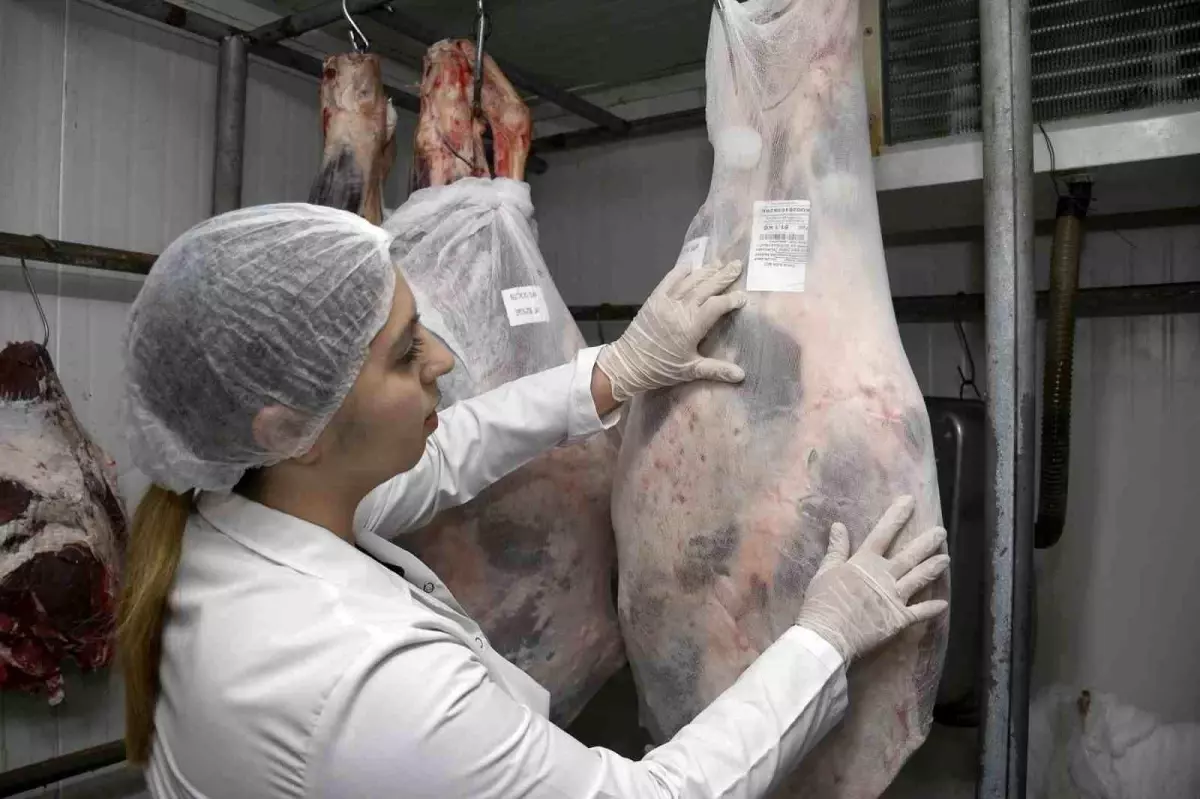 2025 Kurban Kesim Ücretleri Açıklandı