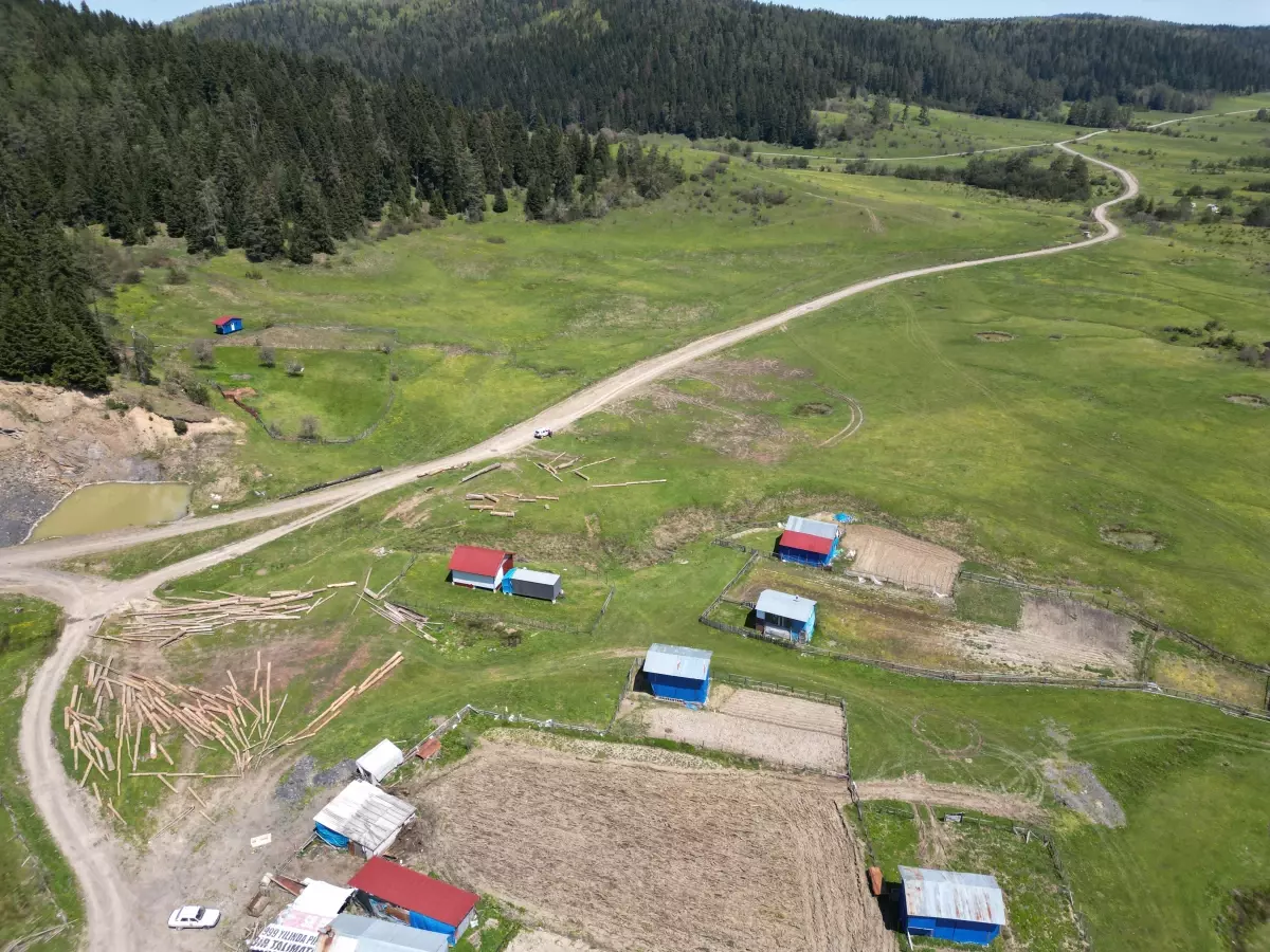 Uluyayla\'da İlkbahar Güzellikleri