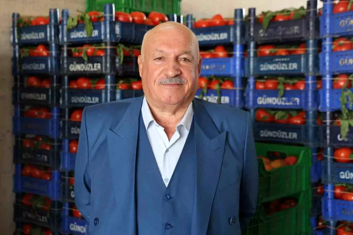 Elazığ\'da Sebze ve Meyve Fiyatları Düşük