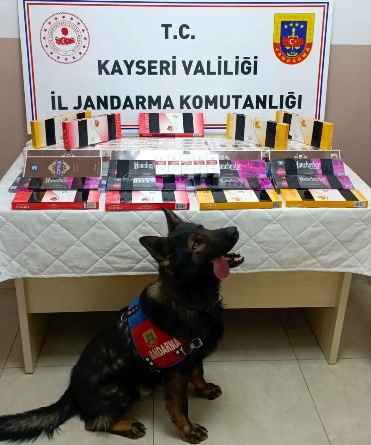 Kayseri\'de 700 Paket Kaçak Sigara Ele Geçirildi