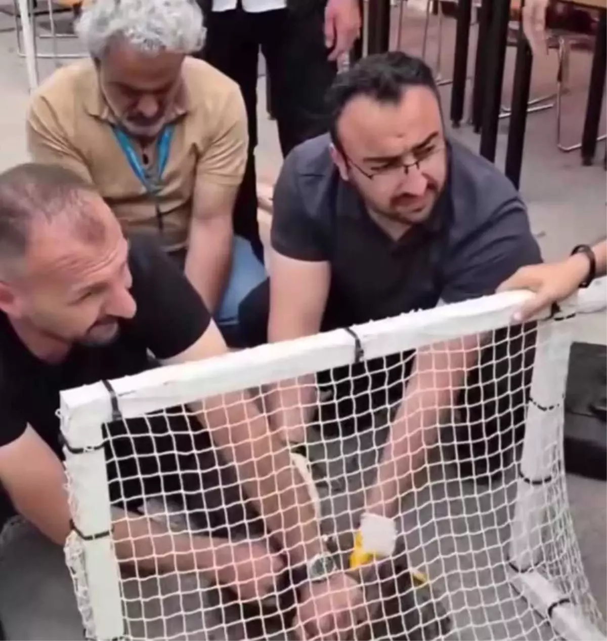 Malatya\'da Pitbull Saldırısı