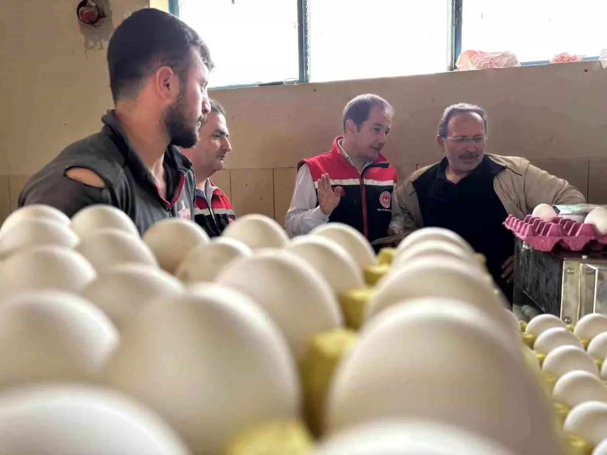 Erzincan\'da Tavukçulukta Yeni Yatırımlar
