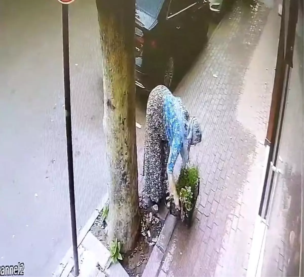 İnegöl\'de Çiçek Hırsızlığı