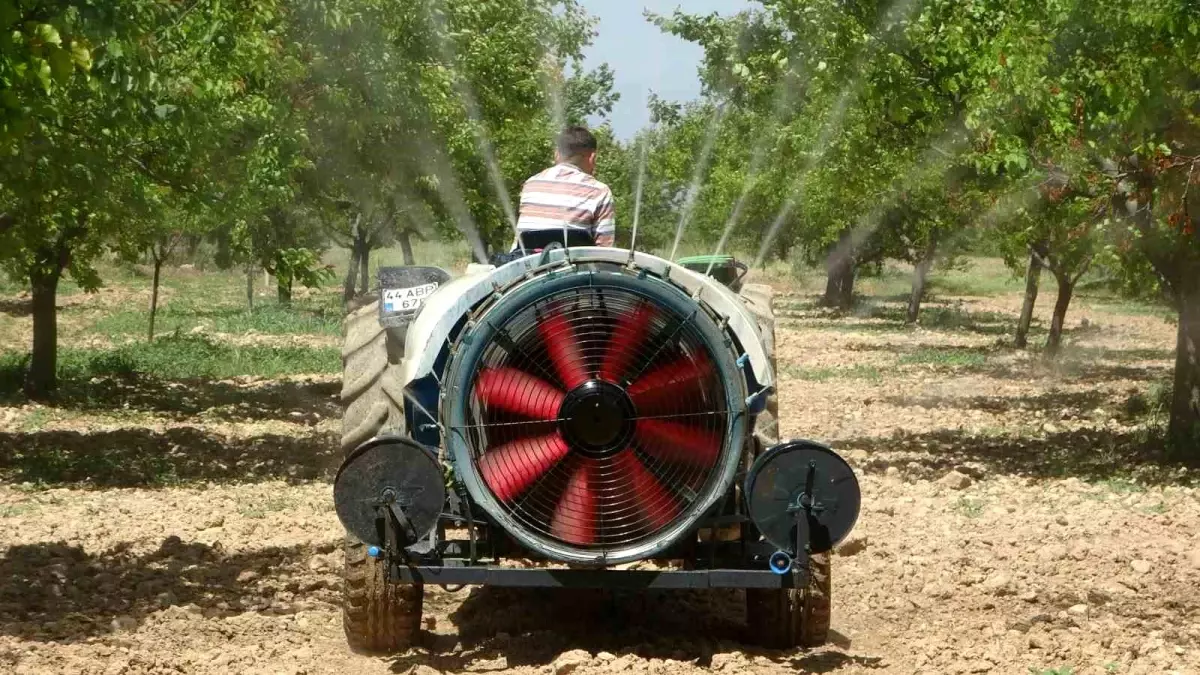 Malatya Kayısı Bahçeleri Yeniden Yeşeriyor