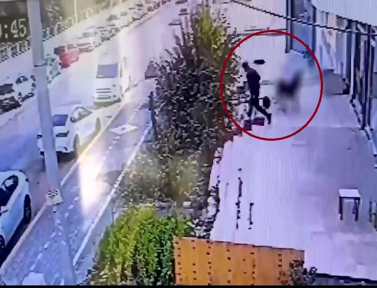Diyarbakır\'da Suç Örgütüne Baskın: 19 Tutuklama