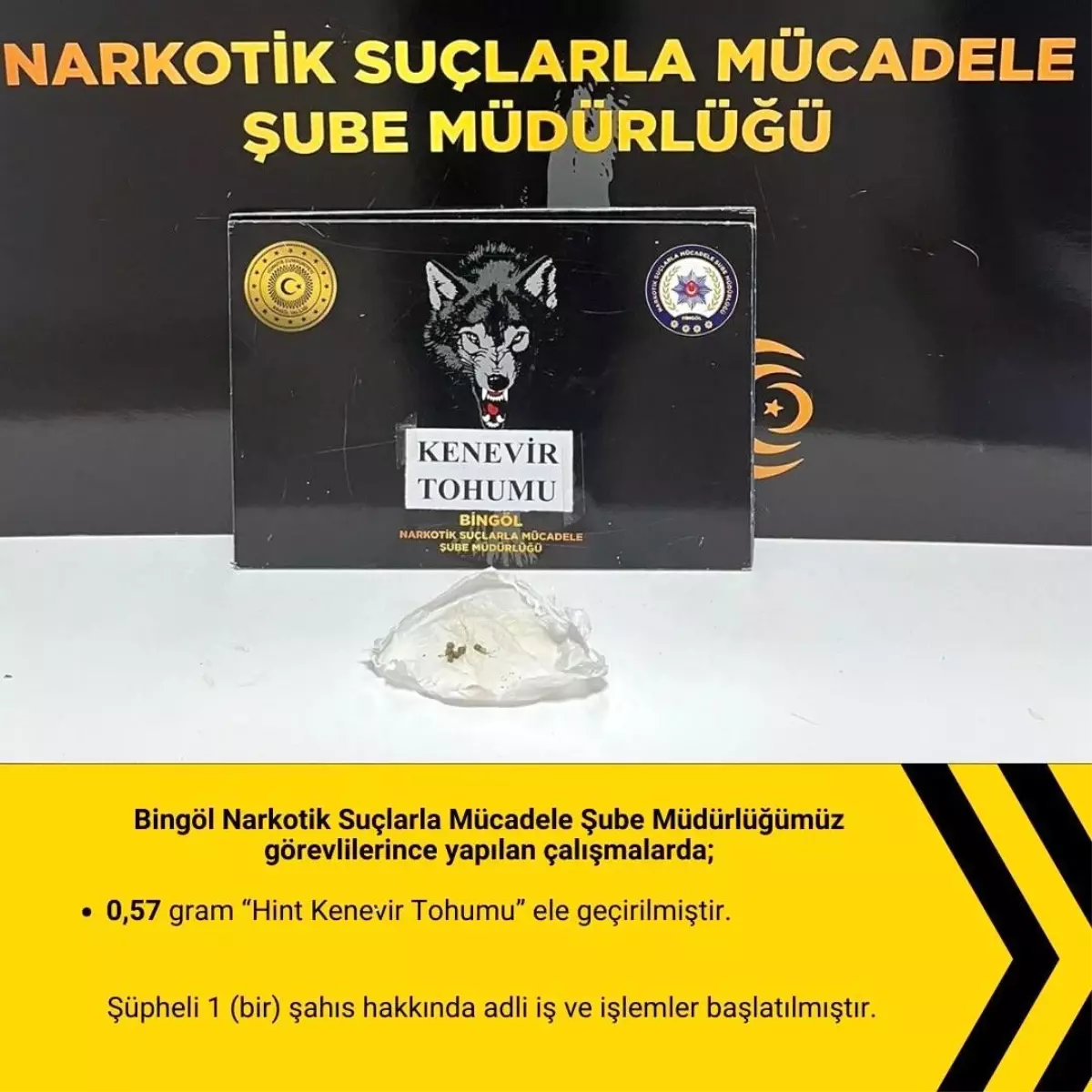 Bingöl\'de Narkotik Uygulaması