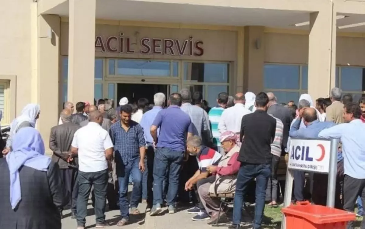 Viranşehir\'de Aile Kavgası: 5 Yaralı, 12 Gözaltı