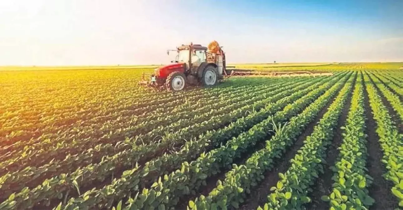 Türk Dünyası Tarım Zirvesi Bursa\'da Gerçekleşiyor