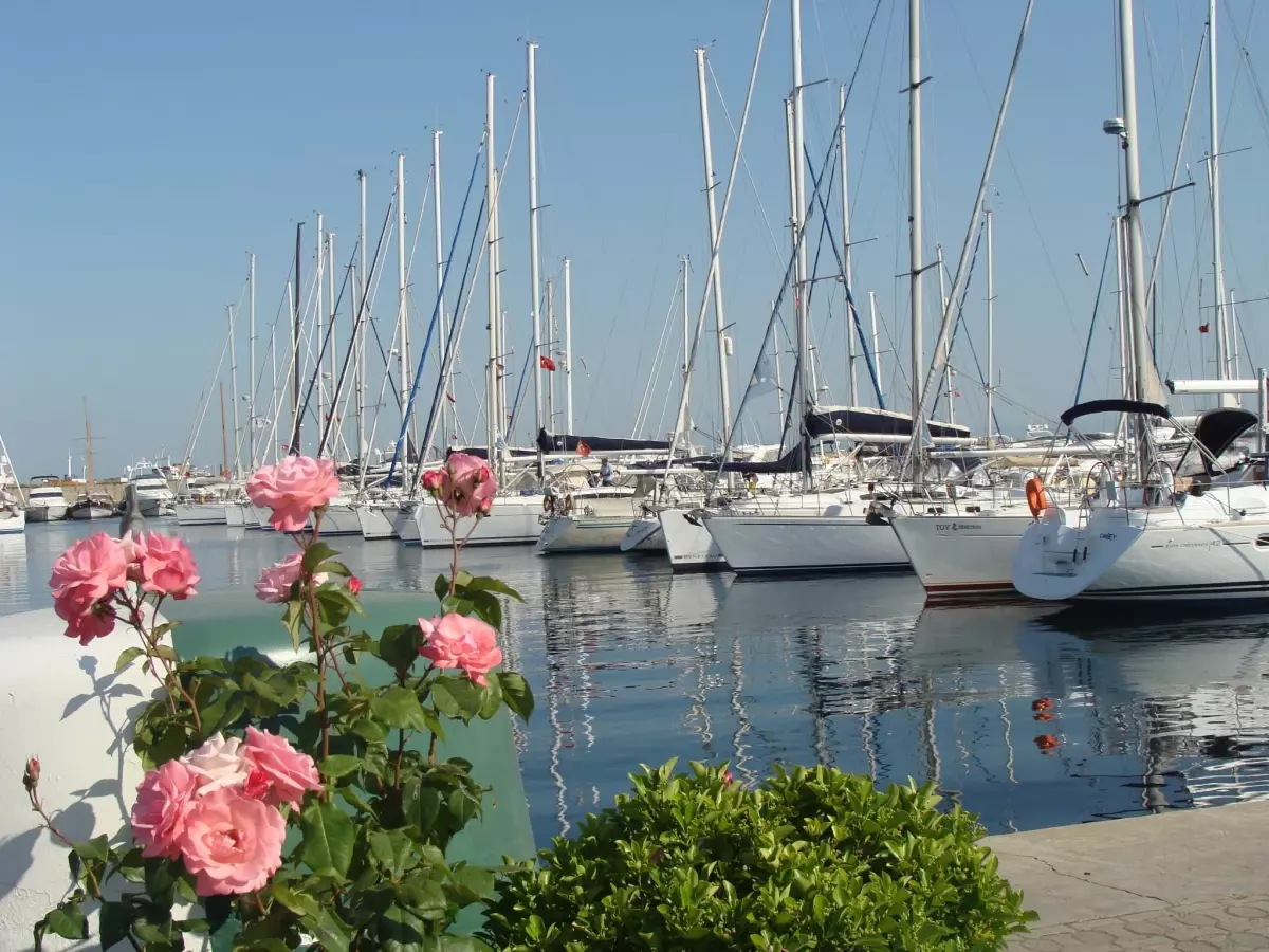 Türkiye, 577 Mavi Bayraklı Plaj ile Üçüncü Oldu