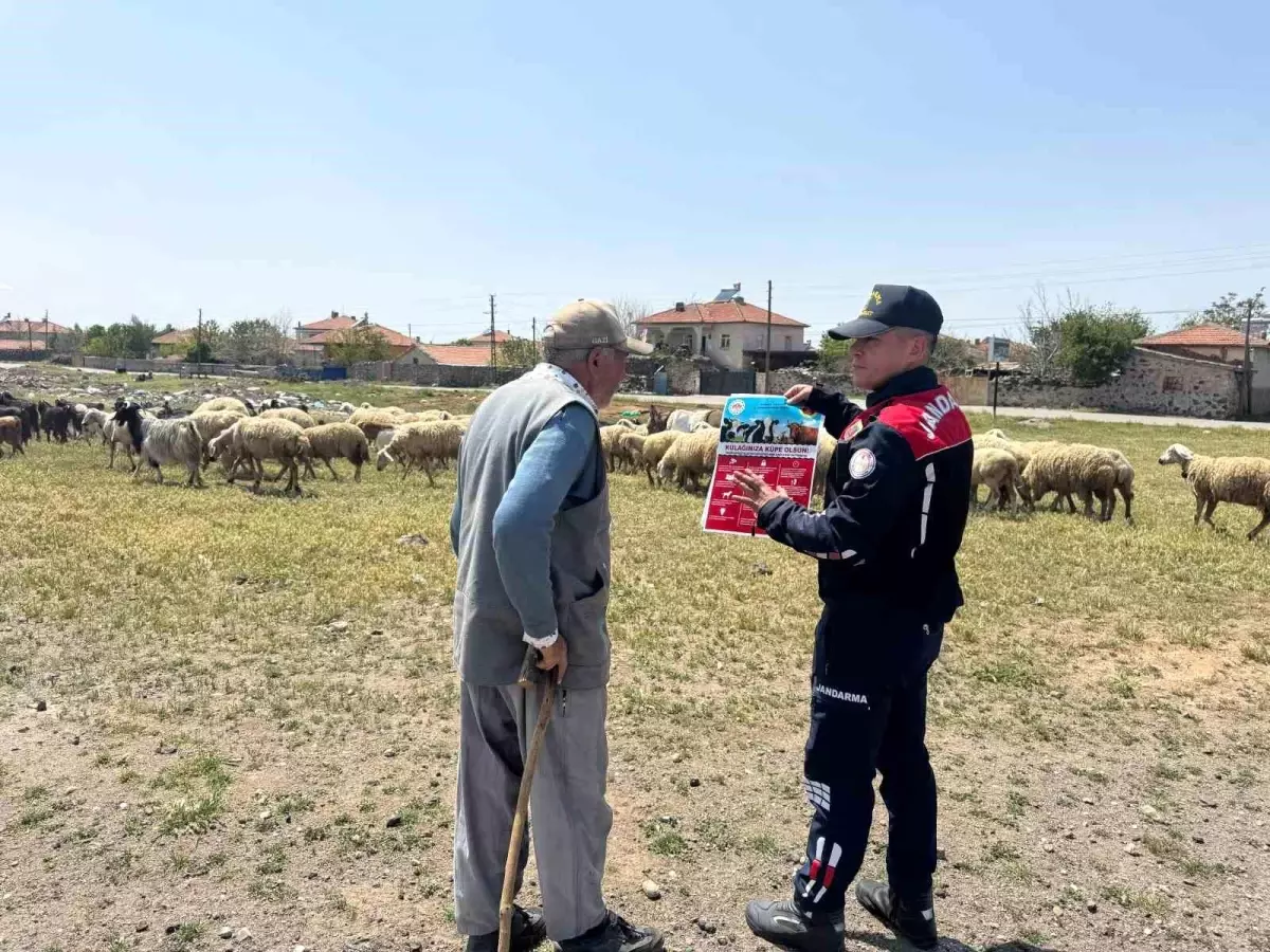 Aksaray\'da Kurban Bayramı Hazırlıkları