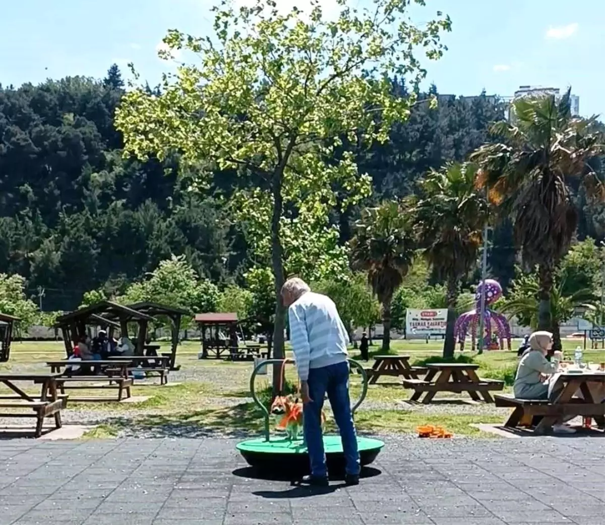 Samsun\'da Köpek Parkta Eğlendi