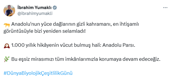 Bakan Yumaklı görüntüleri paylaştı: Anadolu Parsı bizi yeniden selamladı