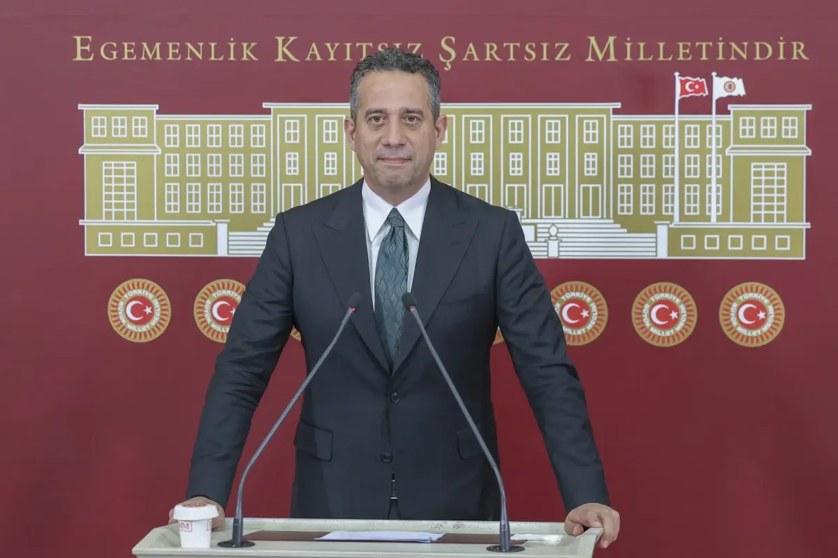 CHP\'li Başarır: \'Yeni anayasa ilk seçimde gelecek olan partimizin iktidar milletvekilleri tarafından yapılacak\'