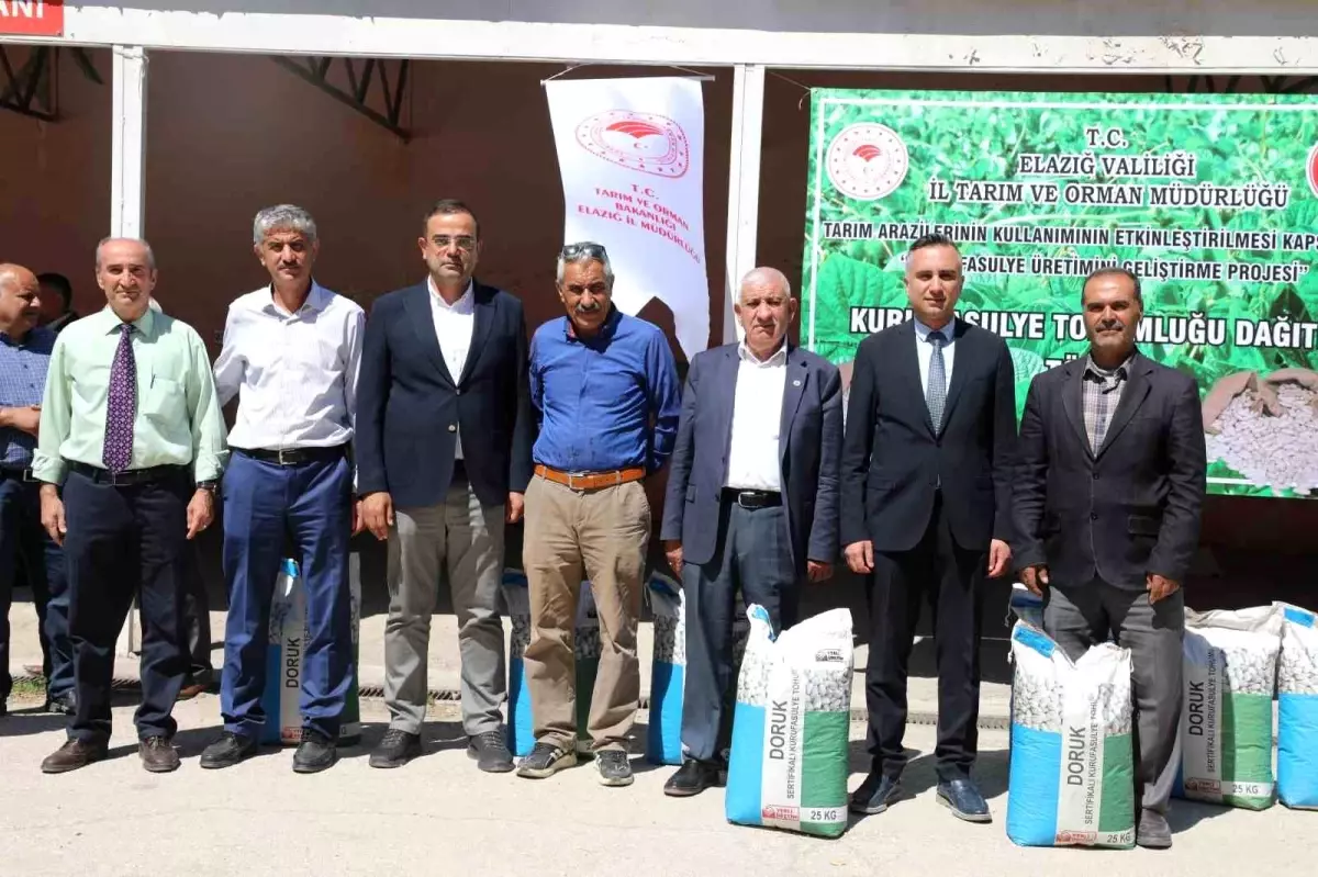 Elazığ\'da 15 Ton Sertifikalı Fasulye Tohumu Dağıtımı