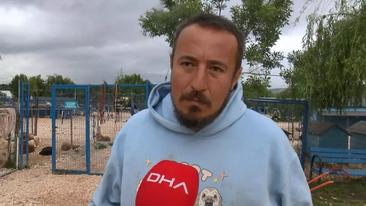 Emekli Hayvan Çiftliği\'nde Müzik Terapisi