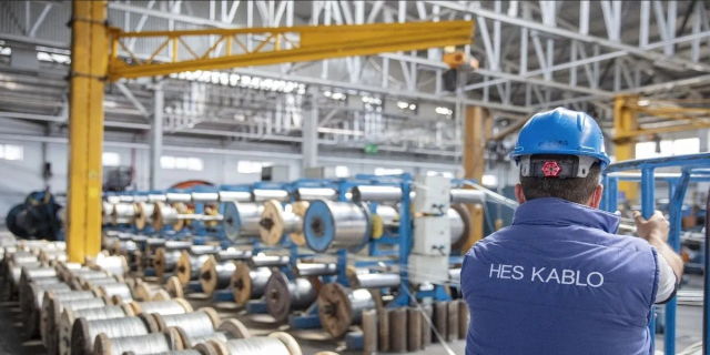 TMSF, Anadolu'nun en büyük şirketini satışa çıkardı TMSF, Anadolu'nun en büyük şirketini satışa çıkardı