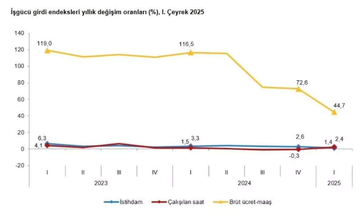 TÜİK 2025 İş Gücü Verilerini Açıkladı