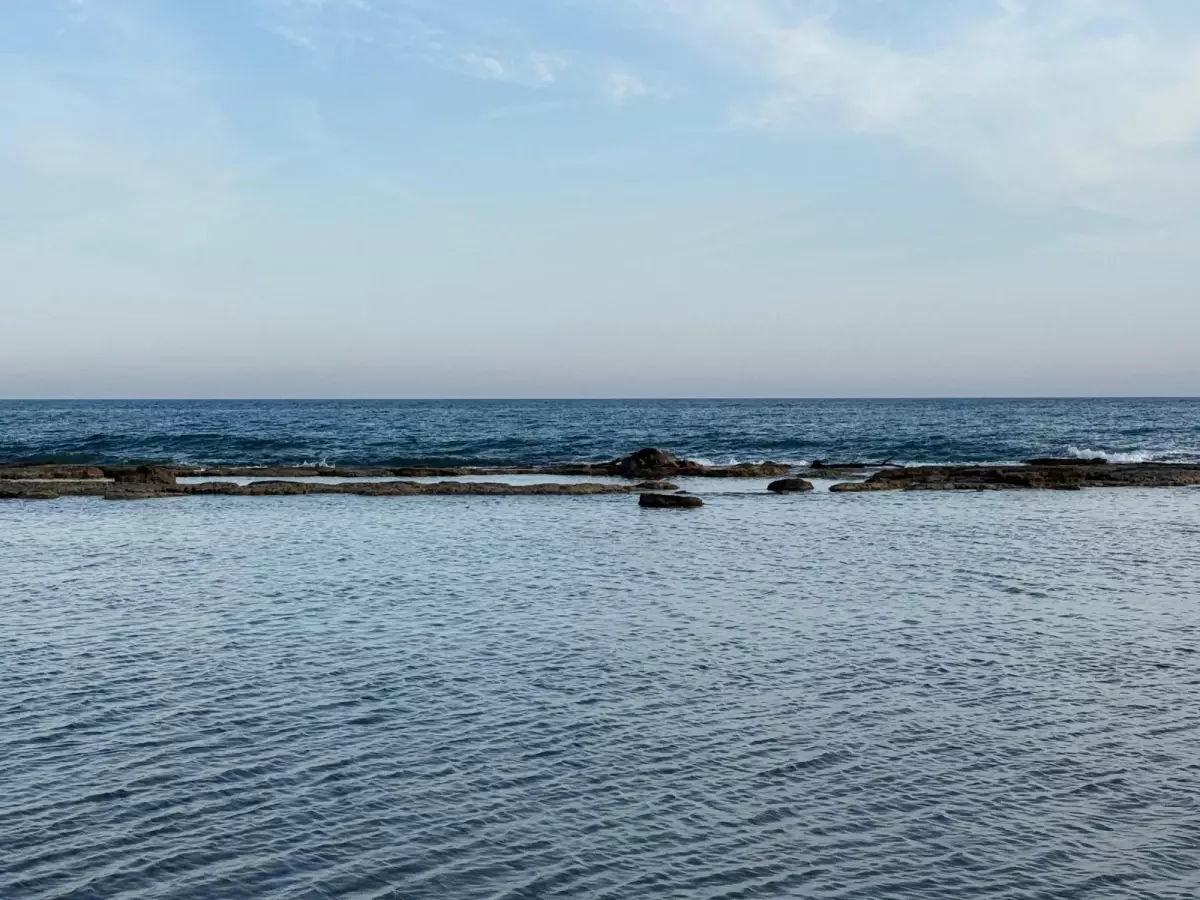 Antalya\'da denizin ortasındaki inek leşi görenleri şoke etti
