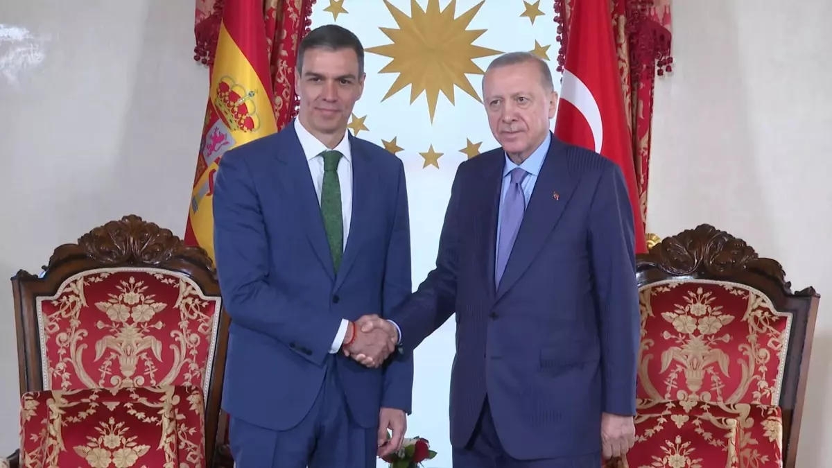 Cumhurbaşkanı Erdoğan, İspanya Başbakanı Sanchez\'i kabul etti