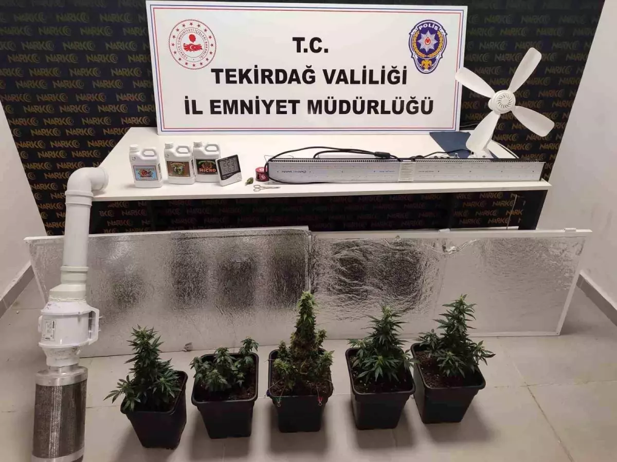 Tekirdağ\'da Uyuşturucu Baskını