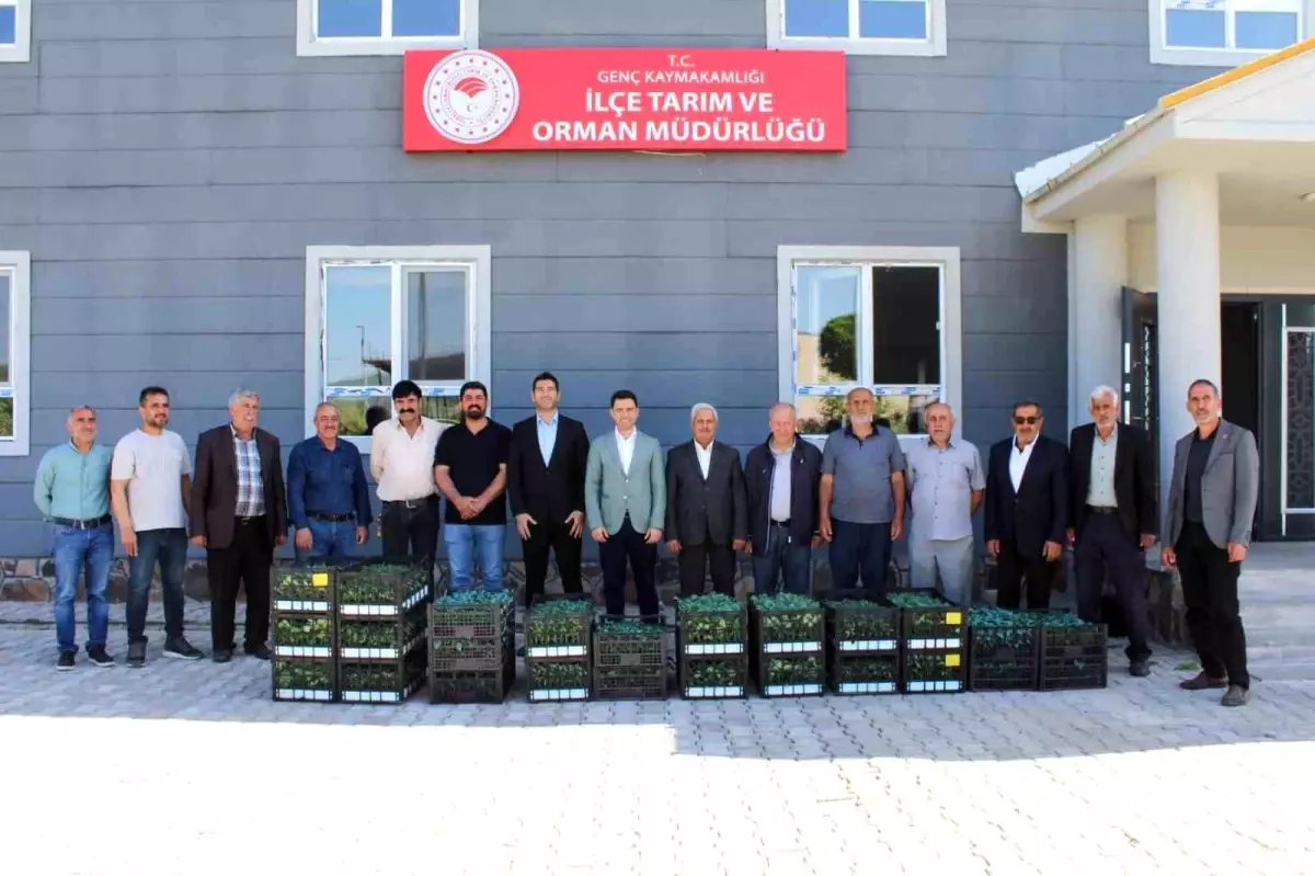 Bingöl\'de Üreticilere Fide Desteği